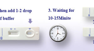 HCG pregnancy rapid test strip