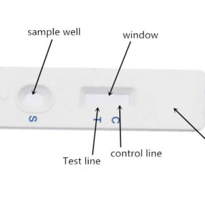 Procalcitonin Test Kit (PCT)